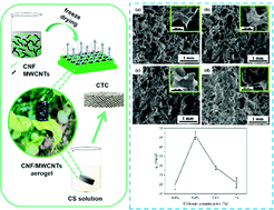 Graphical abstract: Characterization and evaluation of the adsorption potential of chitosan-impregnated cellulose nanofiber multi-walled carbon nanotube aerogel for copper ions