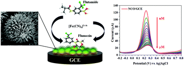 Graphical abstract: A low-cost and facile electrochemical sensor for the trace-level recognition of flutamide in biofluids using large-area bimetallic NiCo2O4 micro flowers