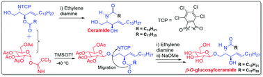 Graphical abstract: Total synthesis of ceramides and β-O-glucosylceramides via intramolecular fatty acyl group migration