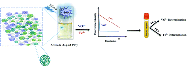 Graphical abstract: A selective fluorescent probe based on citrate doped polypyrrole for dual determination of VO2+/Fe3+ in biological samples