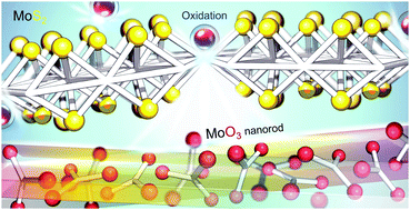 Graphical abstract: Auto-oxidation of exfoliated MoS2 in N-methyl-2-pyrrolidone: from 2D nanosheets to 3D nanorods