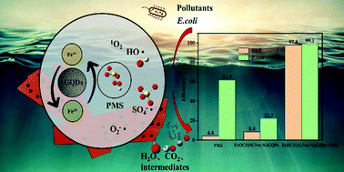 Graphical abstract: A new FeOCl/graphene quantum dot catalyst for peroxymonosulfate activation to efficiently remove organic pollutants and inactivate Escherichia coli