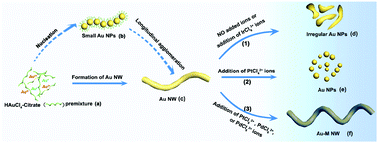 Graphical abstract: One-pot synthesis of Au-based nanocrystals via a platinum group metal anion controlled growth strategy in citrate medium