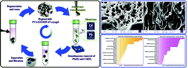 Graphical abstract: Synthesis of a highly porous three-dimensional PVA/GO/ZIF-67 cryogel for the simultaneous treatment of water contaminated with cadmium(ii) and lead(ii) heavy metal ions