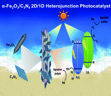 Graphical abstract: A 2D/1D heterojunction nanocomposite built from polymeric carbon nitride and MIL-88A(Fe) derived α-Fe2O3 for enhanced photocatalytic degradation of rhodamine B