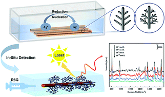 Graphical abstract: In situ detection of fluid media based on a three-dimensional dendritic silver surface-enhanced Raman scattering substrate