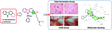 Graphical abstract: Multicomponent synthesis of novel β-carboline-fused imidazolium derivatives via the Mannich reaction: cytotoxicity, molecular docking, and mechanistic studies as angiogenesis inhibitors