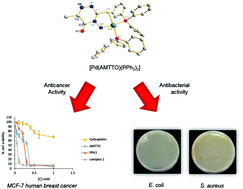Graphical abstract: In vitro cytotoxicity and antibacterial activity of [Pd(AMTTO)(PPh3)2]: a novel promising palladium(ii) complex