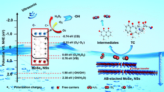 Graphical abstract: Synergetic contribution of enriched selenium vacancies and out-of-plane ferroelectric polarization in AB-stacked MoSe2 nanosheets as efficient piezocatalysts for TC degradation
