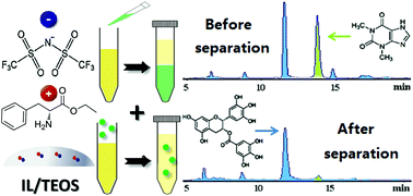 Graphical abstract: A systematic comparison of the extraction and adsorption of theophylline by new amino acid ester-based ionic liquids