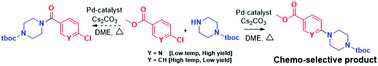 Graphical abstract: Chemo-selective syntheses of N-t-boc-protected amino ester analogs through Buchwald–Hartwig amination