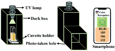 Graphical abstract: Integrating smartphone-assisted ratiometric fluorescent sensors with in situ hydrogel extraction for visual detection of organophosphorus pesticides