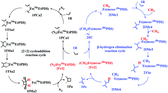 Graphical abstract: [2+2] Cycloaddition or β-hydrogen elimination?—a DFT study of the reactions of propylene catalyzed by (PDI)Fe-metallacycle