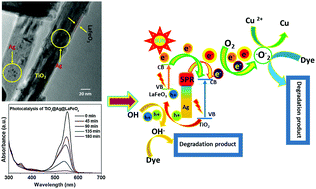 Graphical abstract: Substantial enhancement in the photocatalytic degradation of organic/inorganic pollutants in water and photoelectrochemical activity using TiO2@Ag@LaFeO3 core–shell nanorods