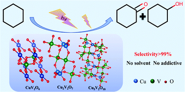 Graphical abstract: Phase-dependent photocatalytic selective oxidation of cyclohexane over copper vanadates