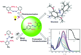Graphical abstract: Structures, solvatochromism, protonation and photoswitching of tetra-(ortho)substituted azobenzenes bearing 3,5-dimethoxy groups
