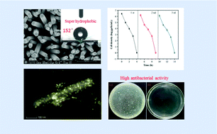 Graphical abstract: Super-hydrophobic and photocatalytic antimicrobial activity of iodine-doped ZnO nanoarray films