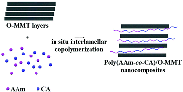 Graphical abstract: In situ interlamellar production of amide-based functional copolymer/clay nanocomposites