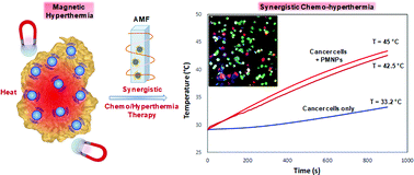 Graphical abstract: Evaluating magnetic and thermal effects of various Polymerylated magnetic iron oxide nanoparticles for combined chemo-hyperthermia