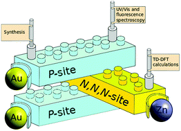 Graphical abstract: Synthesis and photophysical properties of multimetallic gold/zinc complexes of (P,N,N,N,P) and (P,N,N) ligands