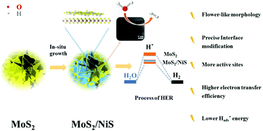 Graphical abstract: Heterostructural MoS2/NiS nanoflowers via precise interface modification for enhancing electrocatalytic hydrogen evolution