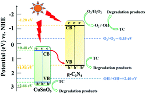 Graphical abstract: Efficient photocatalytic degradation of tetracycline by Z-scheme CuSnO3/g-C3N4 heterojunctions coupling with H2O2 under visible light irradiation
