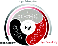 Graphical abstract: Regulation of conjugate rigid plane structures for achieving transformation of fluorescence recognition properties