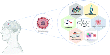 Graphical abstract: In vitro antitumor activity of dialkylamine-1,4-naphthoquinones toward human glioblastoma multiforme cells