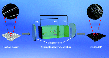 Graphical abstract: Nucleation and growth mechanism of dendrite-free Ni–Cu catalysts by magneto-electrodeposition for the hydrogen evolution reaction