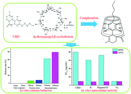 Graphical abstract: Cannabidiol/hydroxypropyl-β-cyclodextrin inclusion complex: structure analysis, release behavior, permeability, and bioactivity under in vitro digestion