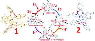 Graphical abstract: Electrocatalytic proton reduction by dinuclear cobalt complexes in a nonaqueous electrolyte