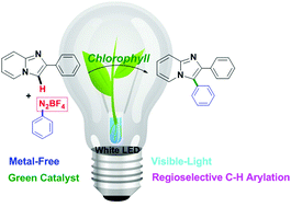 Graphical abstract: Photochemical regioselective C–H arylation of imidazo[1,2-a]pyridine derivatives using chlorophyll as a biocatalyst and diazonium salts