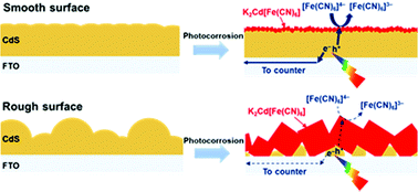 Graphical abstract: Fabrication of a stable CdS photoanode for photoelectrochemical CO2 reduction under visible-light irradiation