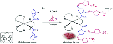 Graphical abstract: Development of ruthenium polypyridine metallo-monomers and characterization of their metallopolymers obtained by ROMP