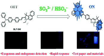 Graphical abstract: A novel fluorescent probe based on triphenylamine for detecting sulfur dioxide derivatives