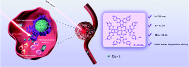 Graphical abstract: A novel water-soluble phthalocyanine-based organic molecule for the effective NIR triggered dual phototherapy of cancer