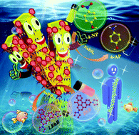 Graphical abstract: Fabrication of tailored rod-shaped carbon nitride, g-C3N4, decorated with MoSe2 flowers for the catalytic reduction of nitrophenol, organic dye degradation and biocompatibility studies