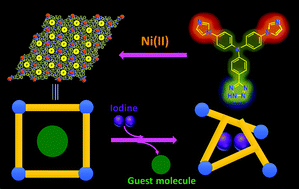 Graphical abstract: A Ni(ii) metal–organic framework with helical channels for the capture of iodine via guest exchange induced amorphization