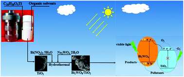 Graphical abstract: Construction of a Bi2WO6/TiO2 heterojunction and its photocatalytic degradation performance