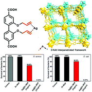 Graphical abstract: A silver-functionalized metal–organic framework with effective antibacterial activity