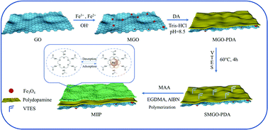 Graphical abstract: Fabrication of a novel magnetic rubidium ion-imprinted polymer for selective separation