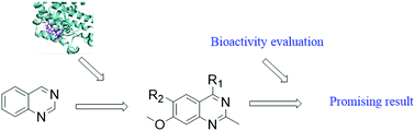 Graphical abstract: Design, synthesis and bioactivity evaluation of novel quinazoline based KRASG12C inhibitors