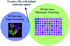 Graphical abstract: Anti-mycobacterial natural products and mechanisms of action