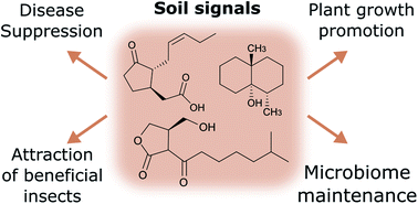 Graphical abstract: Harnessing intercellular signals to engineer the soil microbiome