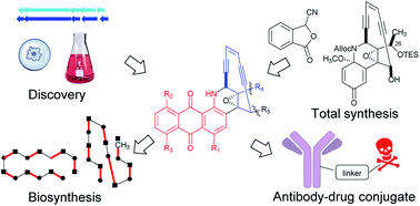 Graphical abstract: Anthraquinone-fused enediynes: discovery, biosynthesis and development