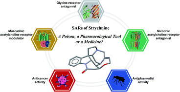 Graphical abstract: Strychnine and its mono- and dimeric analogues: a pharmaco-chemical perspective
