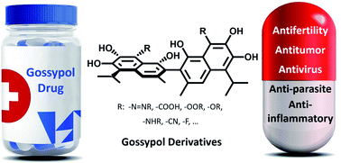 Graphical abstract: Structure, properties of gossypol and its derivatives—from physiological activities to drug discovery and drug design