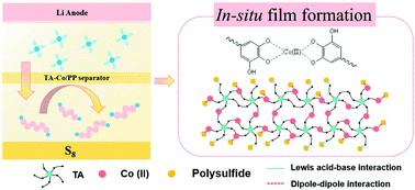 Graphical abstract: Inhibition of the shuttle effect of lithium–sulfur batteries via a tannic acid-metal one-step in situ chemical film-forming modified separator