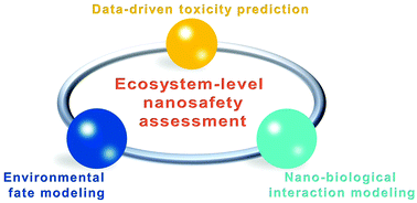 Graphical abstract: In silico nanosafety assessment tools and their ecosystem-level integration prospect