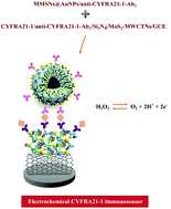 Graphical abstract: A novel electrochemical lung cancer biomarker cytokeratin 19 fragment antigen 21-1 immunosensor based on Si3N4/MoS2 incorporated MWCNTs and core–shell type magnetic nanoparticles